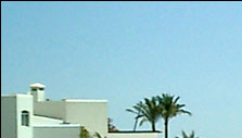 marsaalam-realestate.com