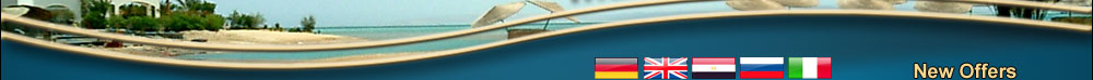marsaalam-realestate.com